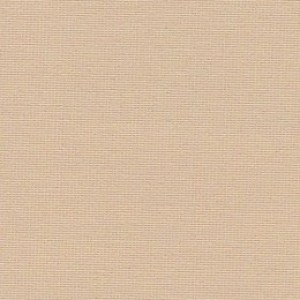1013-260x260