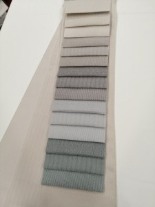 105558900_3581856798509987_4620218700108739998_n