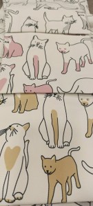 197419172_3848092578649938_4690221006611909755_n