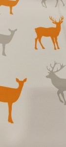 198191188_155623699927219_6777803055738145970_n7