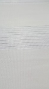 27497874_10215511658854037_1311803884_n