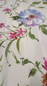 27847893_10215591586572180_1873671789_n