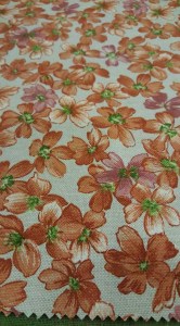 27848383_10215591591092293_1302641228_n