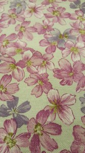 27935683_10215591591252297_208227851_n