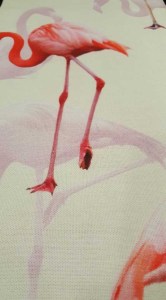 29138020_10216000658478722_181356826_n