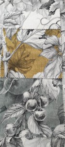 335808821_6721884857828616_1600725932653281343_n