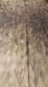 51522772_374004496728957_1173381019408007168_n