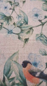 52598711_2307336092814382_8864914968273747968_n