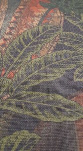 53678139_414497725762073_2081605343669911552_n