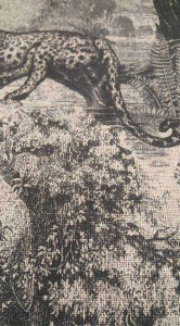 53796583_2105629359734674_2494391923184238592_n