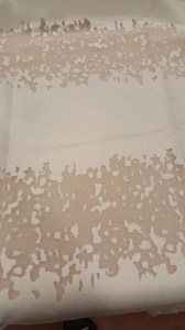 54257589_311036619531677_4850315775782682624_n