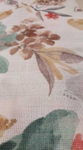 56177150_423843698373843_3593491990014066688_n