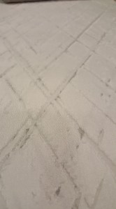 56496354_2161808694130494_9217537413977473024_n