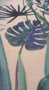 64300392_10219625335733388_8706155251683557376_n