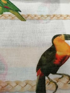 76793163_422254418717830_4913790938536476672_n