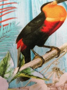 77400786_2264486010510059_3493877125595791360_n