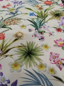 78645022_2551578605074683_5633272478299062272_n